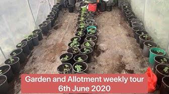 'Video thumbnail for Garden and Allotment weekly tour 6th June 2020'
