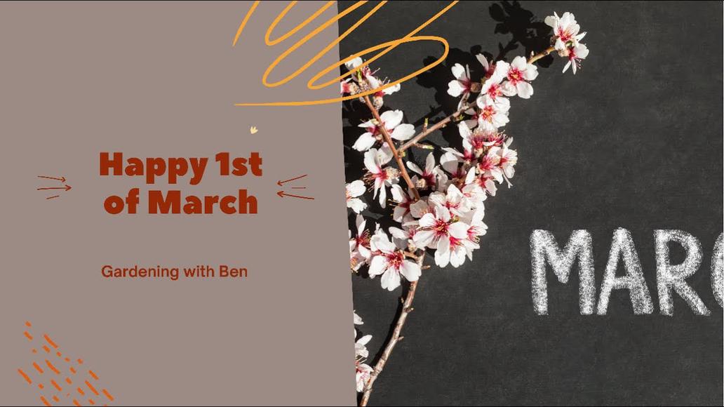 'Video thumbnail for Happy 1st of March Gardeners and Allotment Holders'