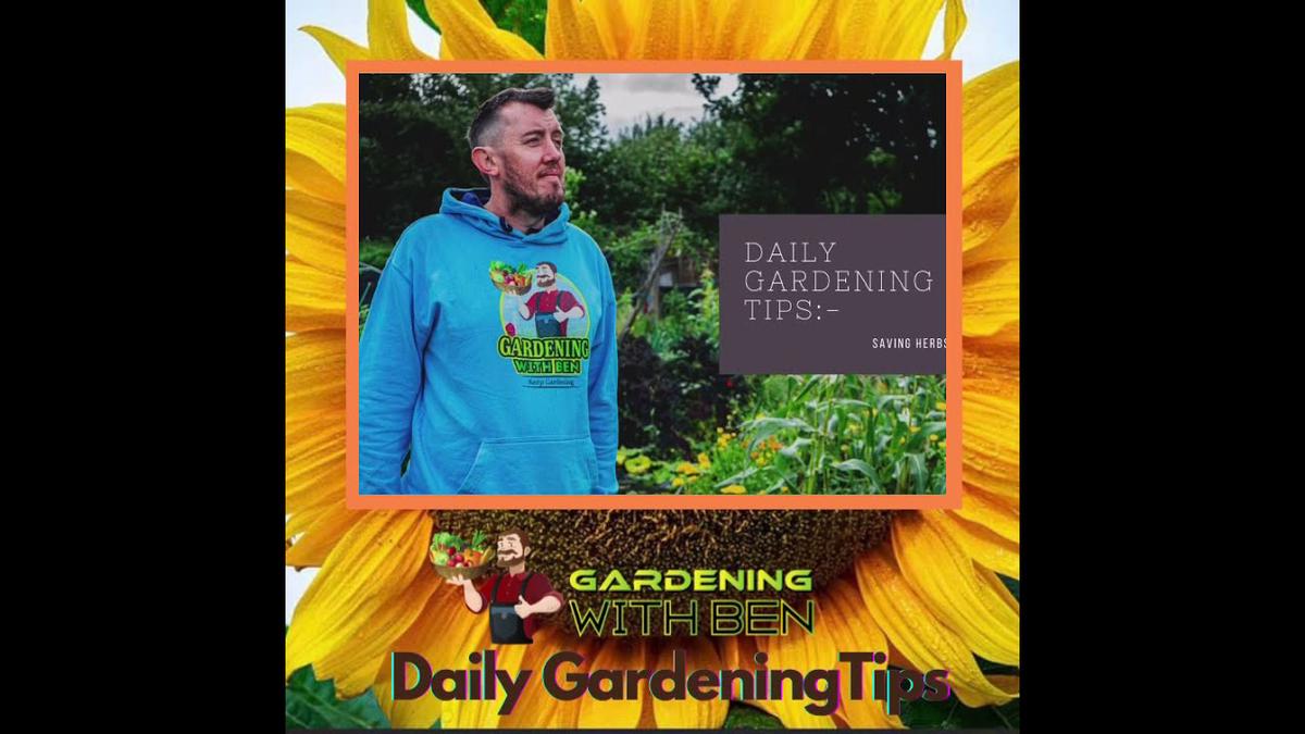 'Video thumbnail for Daily Gardening Tips - save those herbs #gardeningtips'