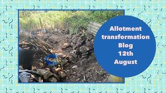 'Video thumbnail for Allotment transformation blog 12th August 2020'