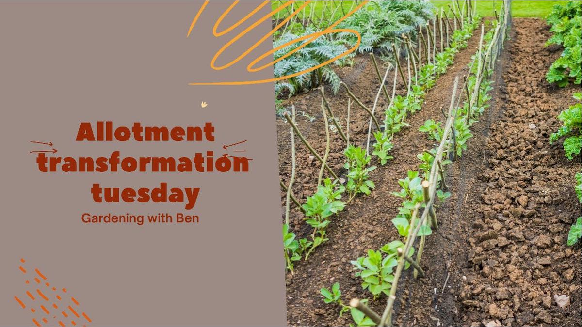 'Video thumbnail for Allotment transformation Tuesday! #shorts'