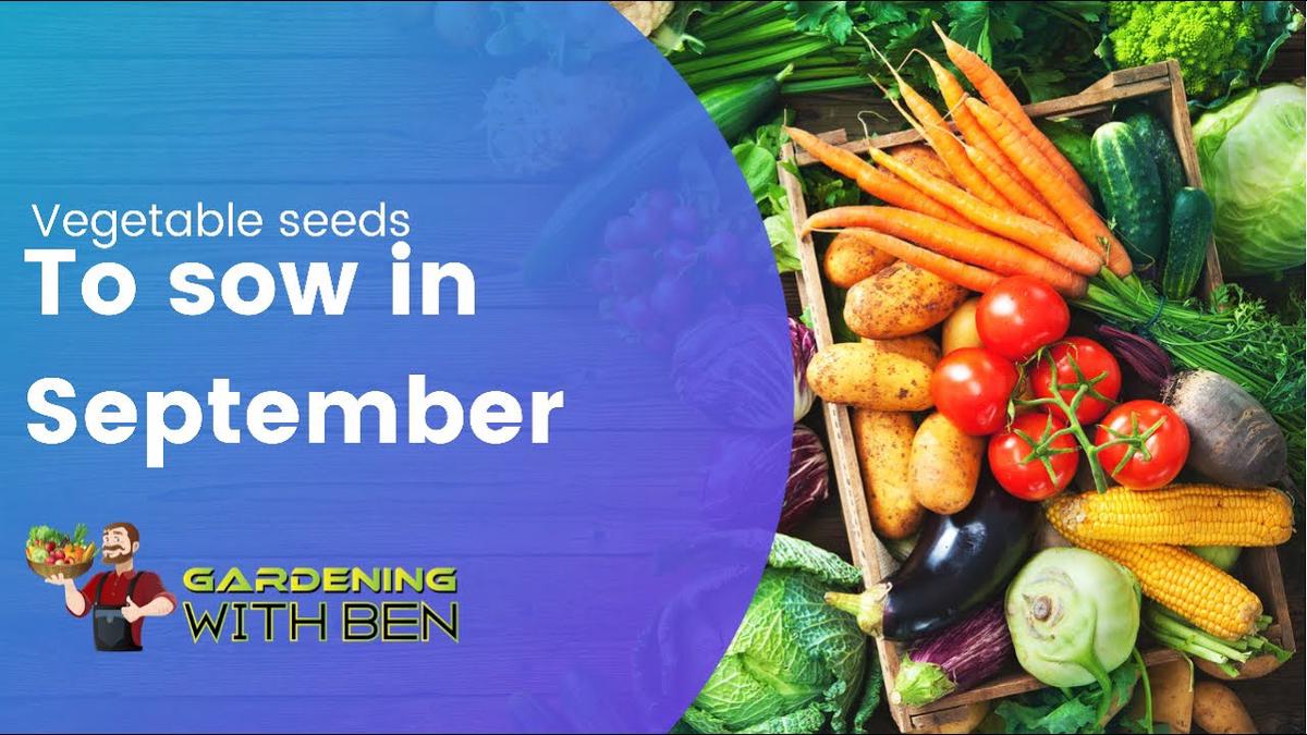 'Video thumbnail for What Vegetable seeds to sow in September'