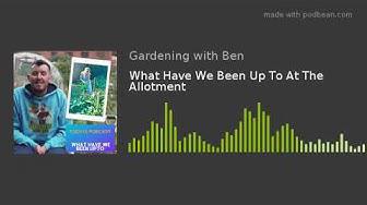 'Video thumbnail for What Have We Been Up To At The Allotment'