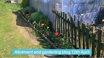 'Video thumbnail for Allotment and gardening blog 12th April 2020'