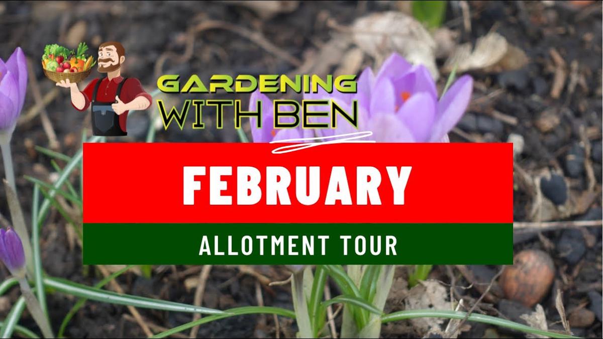 'Video thumbnail for February allotment tour'