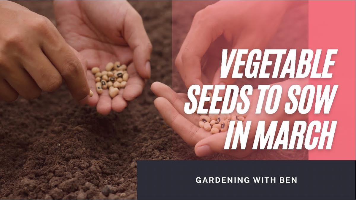 'Video thumbnail for Vegetable seeds to sow in March #shorts'