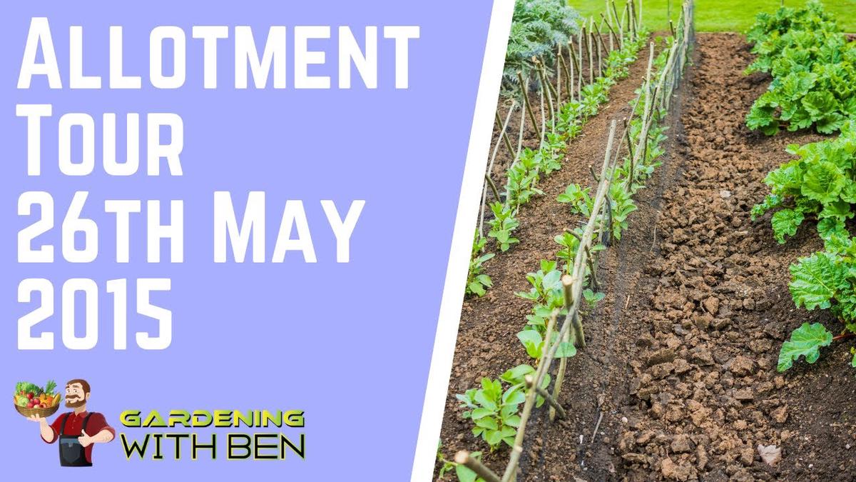 'Video thumbnail for Tour of my allotment 26th May 2015'