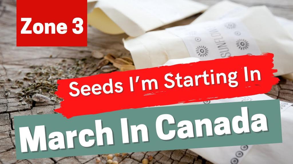 'Video thumbnail for Seed Starting In Canada. Seeds You Can Start In February In A Canadian Climate? Gardening in Canada'
