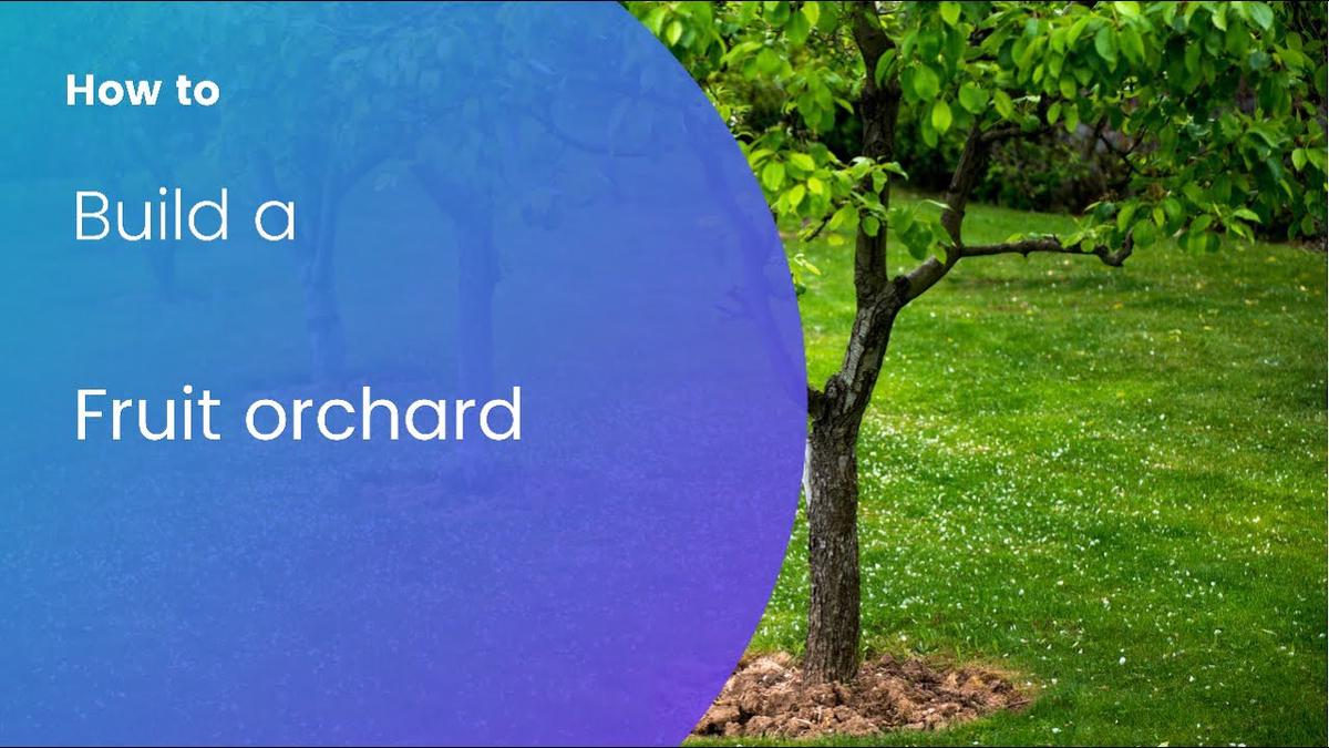 'Video thumbnail for How to build a Fruit Garden / Orchard and Raised Beds'