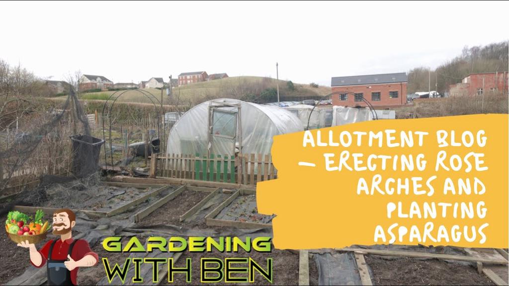 'Video thumbnail for Allotment blog - building a rose arch and planting asparagus'