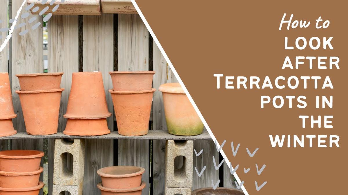 'Video thumbnail for How to look after Terracotta pots in the winter - Gardening advice and tips'