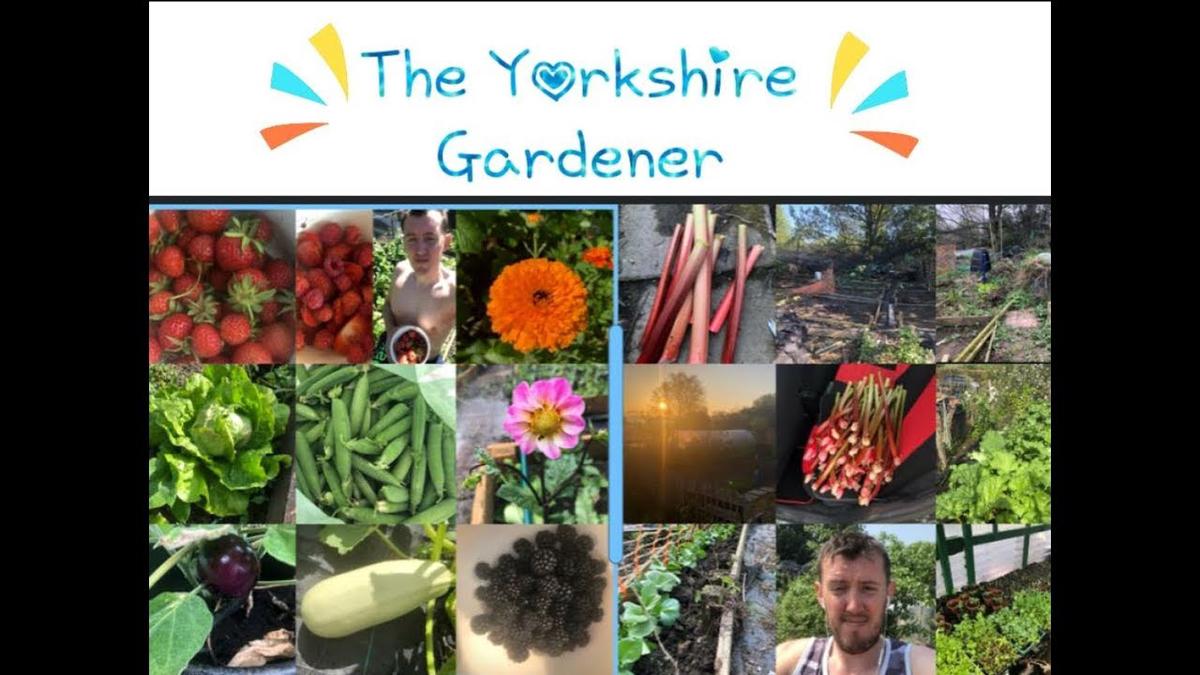 'Video thumbnail for Gardening and allotment diary Weekend 2nd and 3rd of March Work'