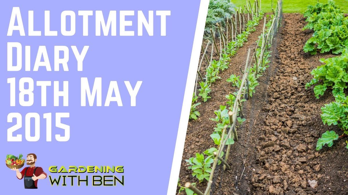 'Video thumbnail for Gardening and allotment diary 18 May 2015'