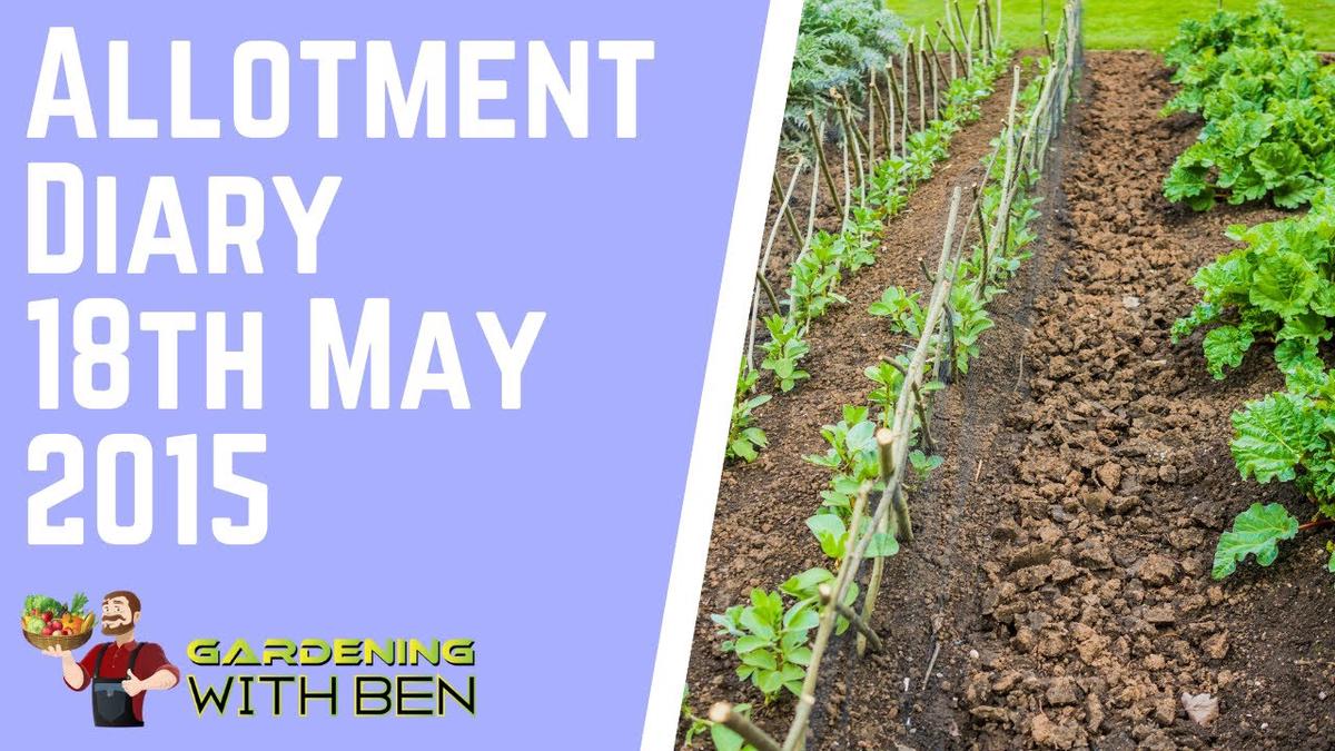 'Video thumbnail for Gardening and allotment diary 18 May 2015'