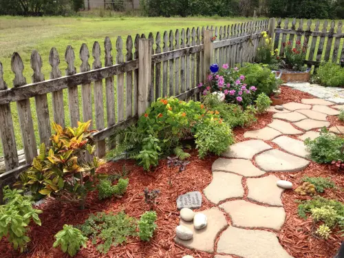 How Do I Deal with Competing Weeds?